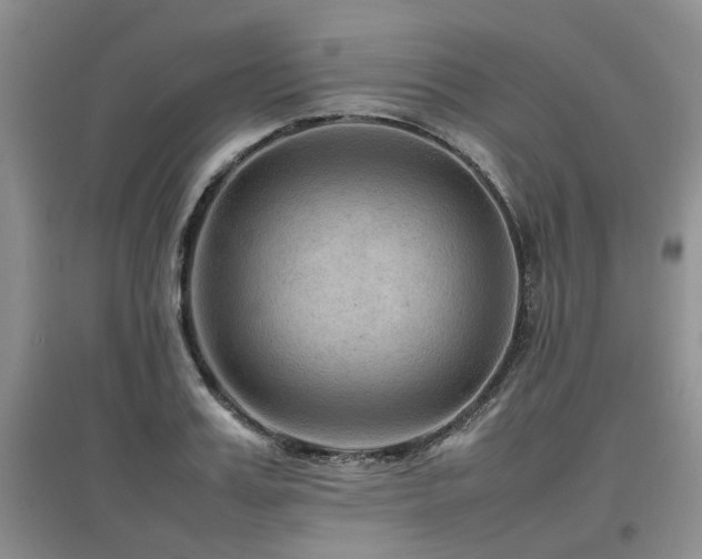 X0000097920987200803141437