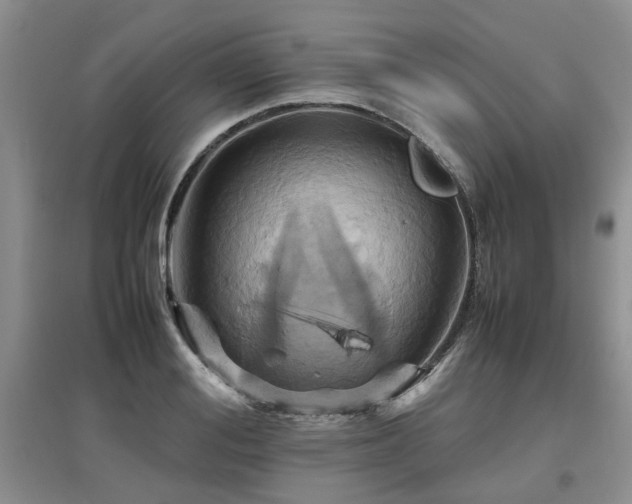 X0000097920988200803141437
