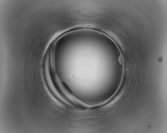 X0000097920989200803141437