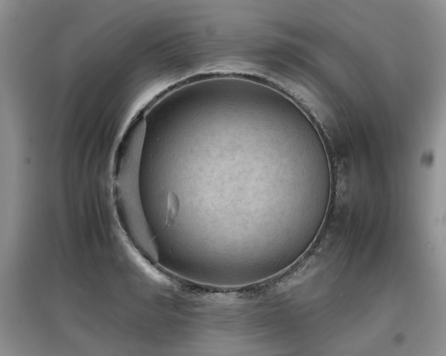 X0000097920990200803141437