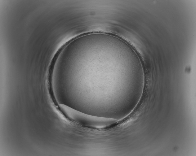 X0000097920991200803141437