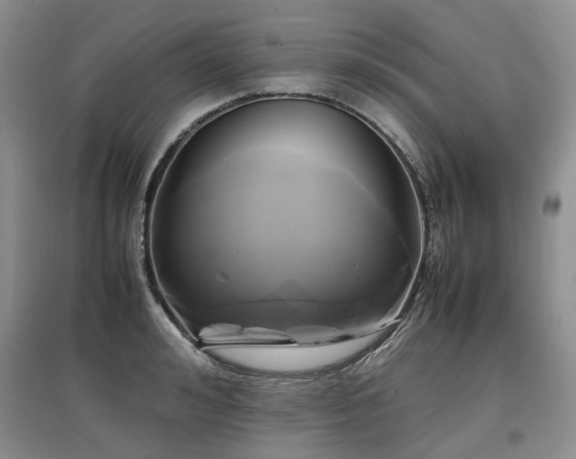 X0000097920992200803141437