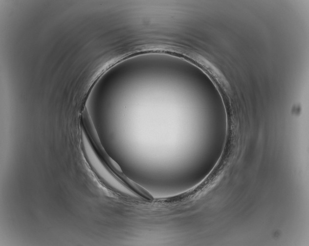 X0000097920993200803141437