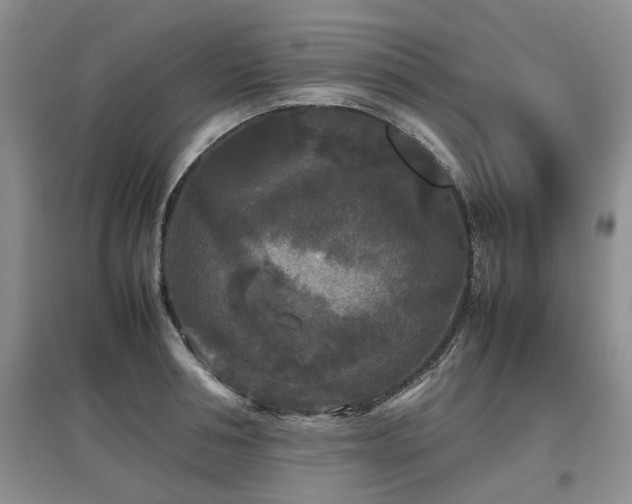 X0000097920994200803141437