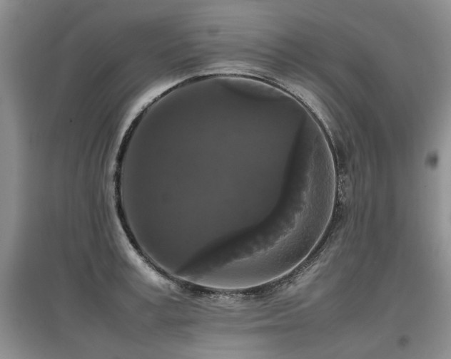 X0000097920995200803141437