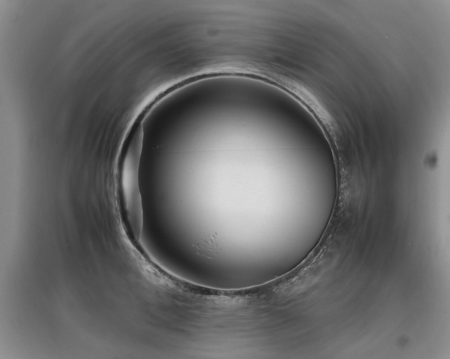 X0000097920996200803141437