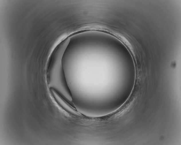 X0000097920997200803141437