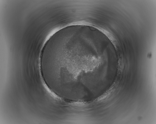 X0000097920998200803141437