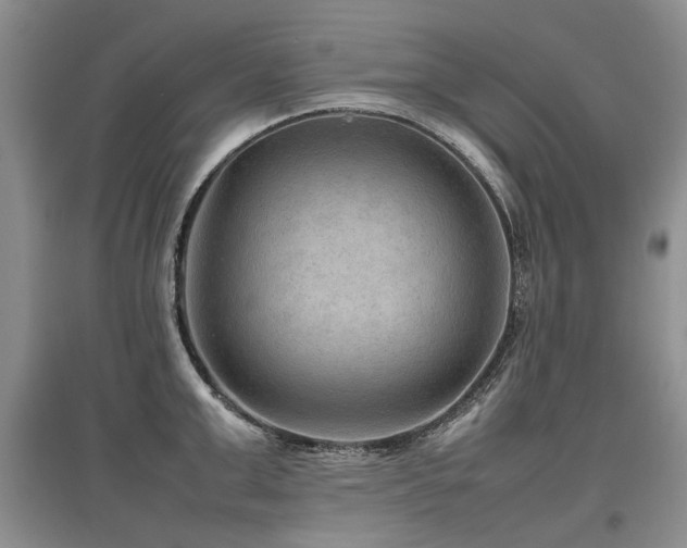 X0000097920999200803141437