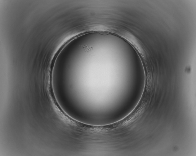 X0000097921000200803141437