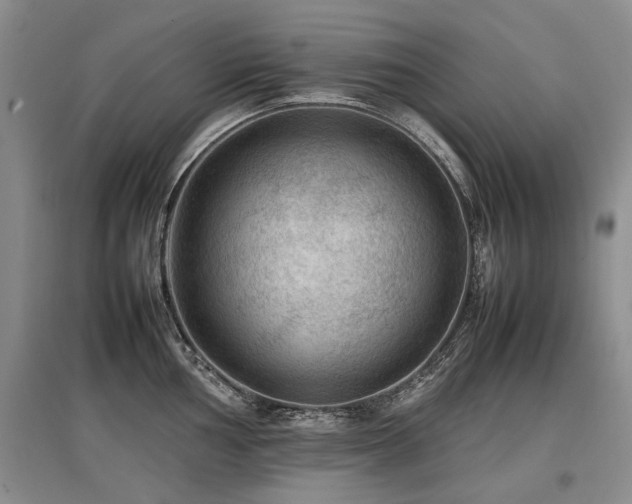 X0000097921002200803141437