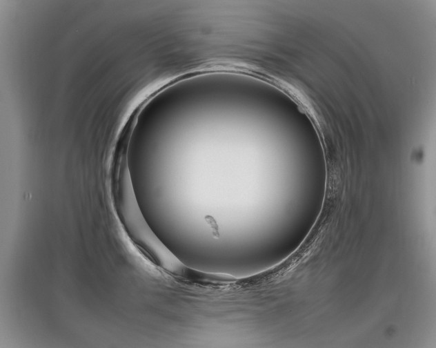 X0000097921003200803141437