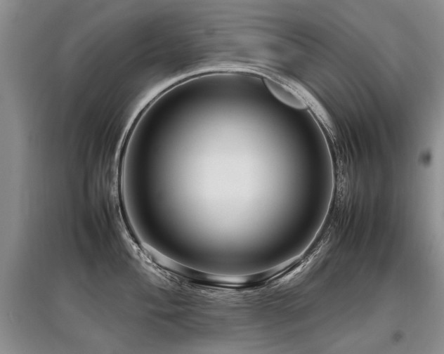 X0000097921004200803141437