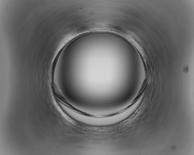 X0000097921005200803141437