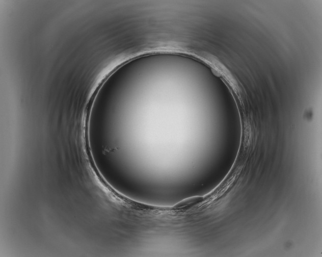 X0000097921006200803141437