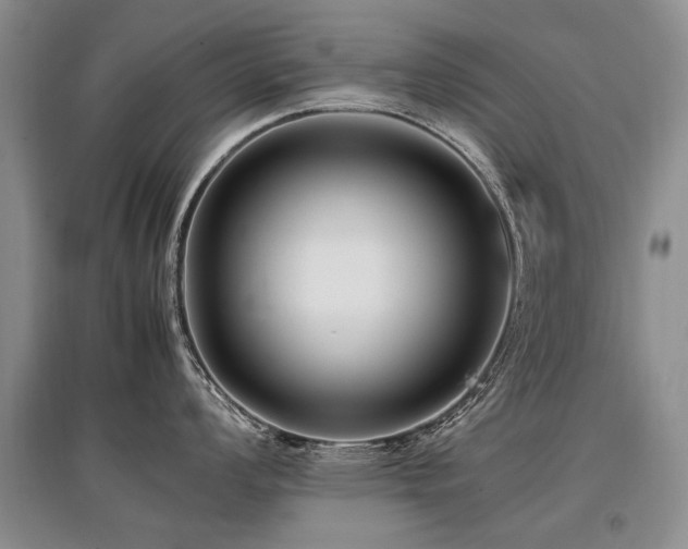 X0000097921008200803141437