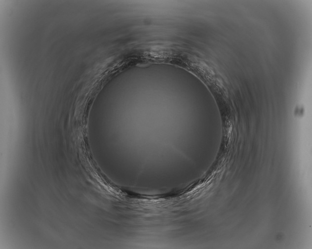 X0000097921009200803141436
