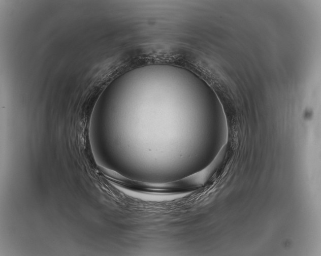X0000097921010200803141436