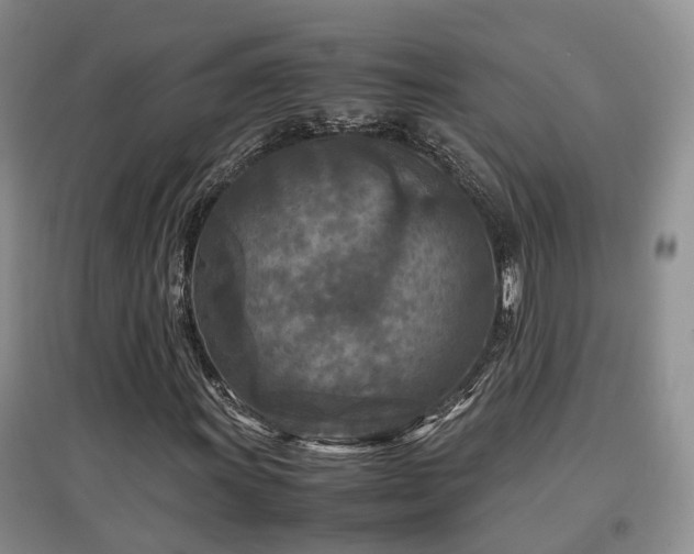X0000097921011200803141436