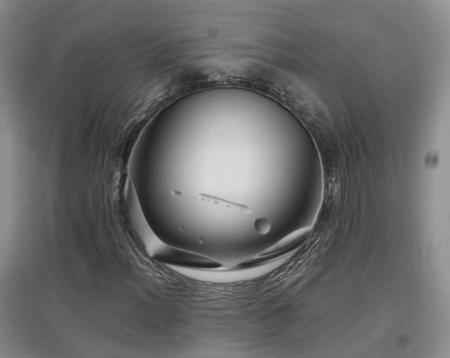 X0000097921012200803141436