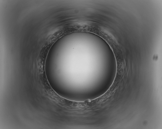 X0000097921013200803141436
