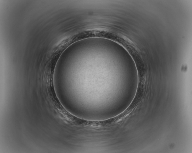 X0000097921014200803141436