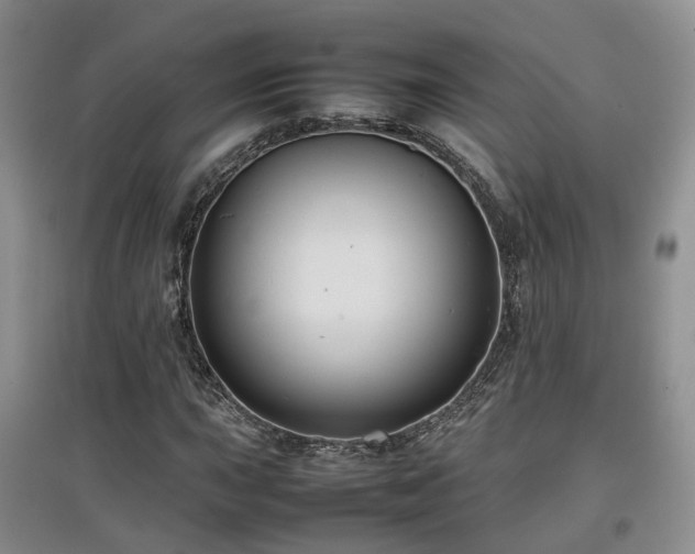X0000097921015200803141436
