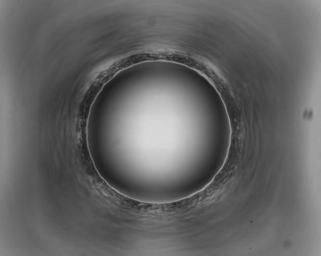 X0000097921016200803141436
