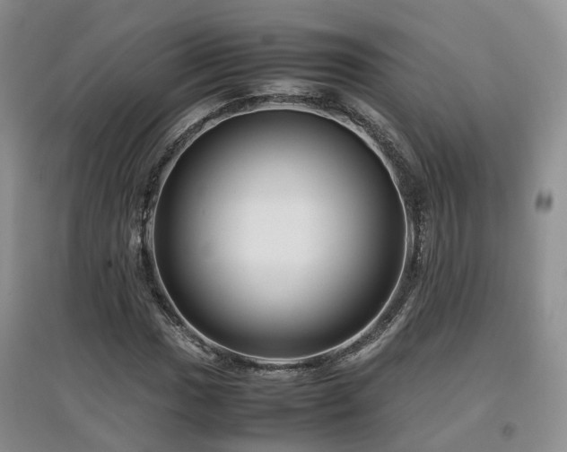 X0000097921017200803141436