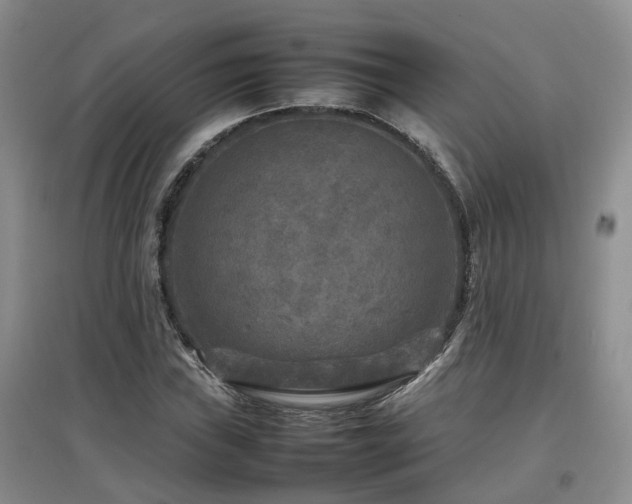 X0000097921019200803141436