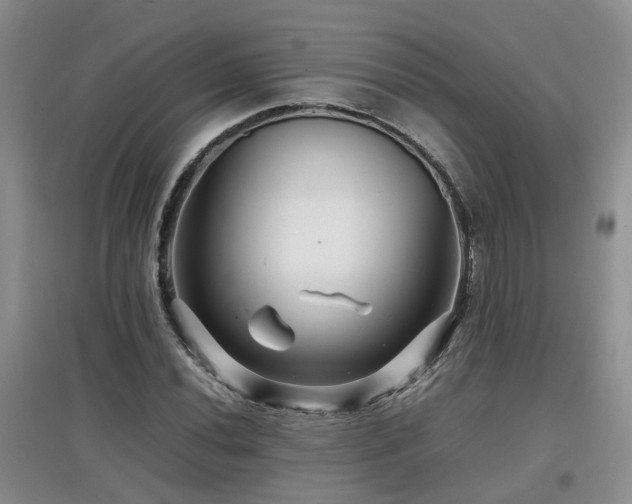 X0000097921020200803141436