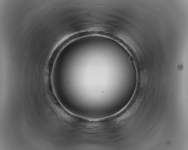 X0000097921021200803141436