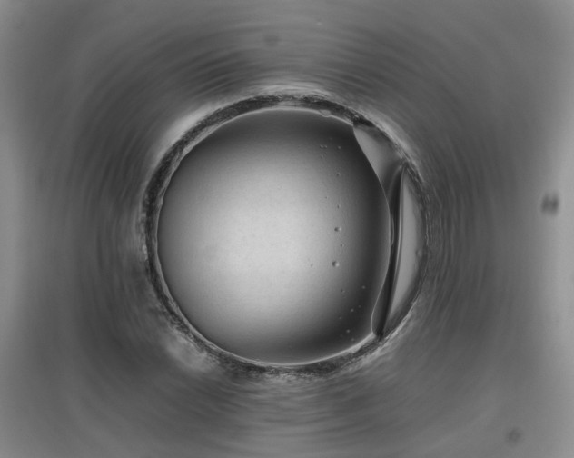 X0000097921022200803141436