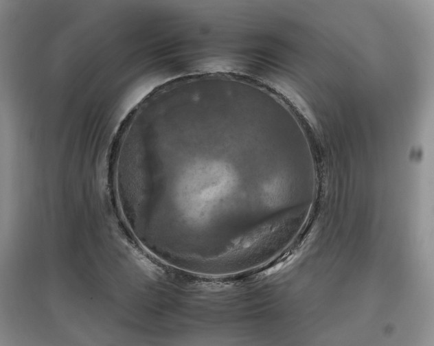 X0000097921023200803141436