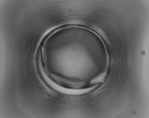 X0000097921024200803141436