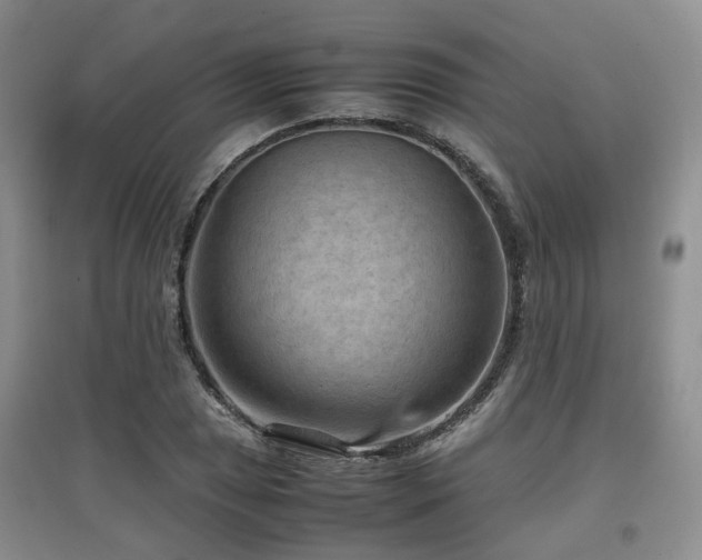 X0000097921025200803141436