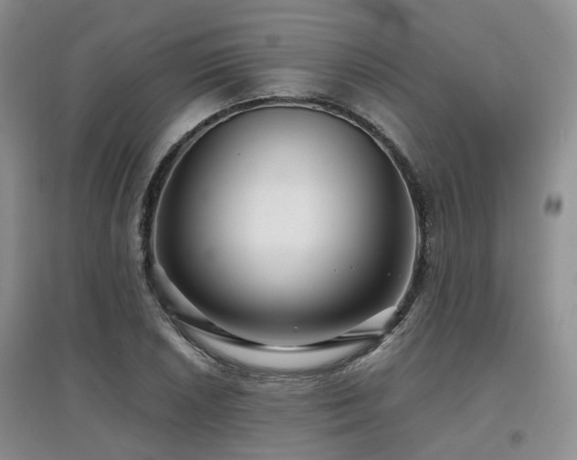 X0000097921026200803141436