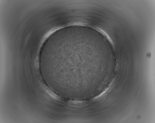 X0000097921027200803141436