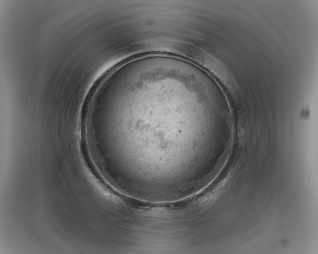 X0000097921028200803141436