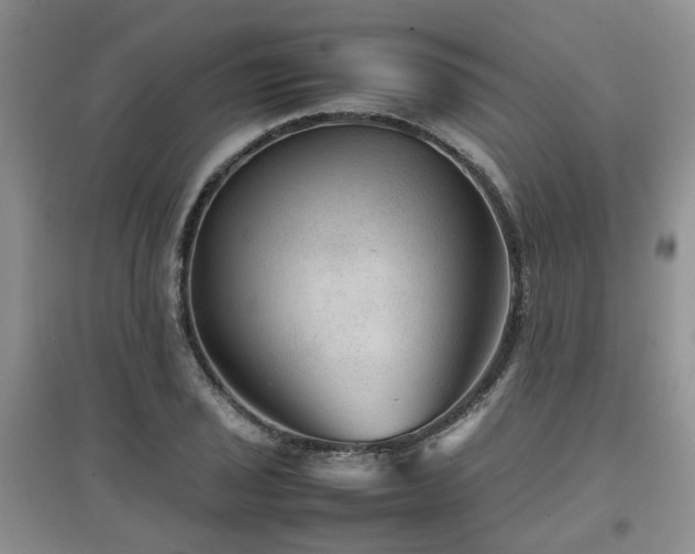 X0000097921029200803141436