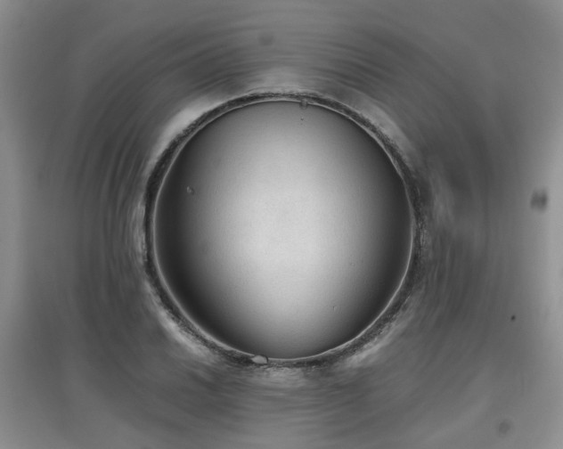 X0000097921030200803141436