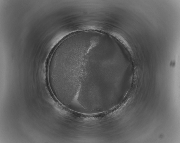 X0000097921031200803141436