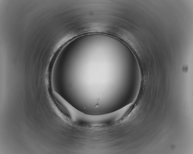 X0000097921034200803141436