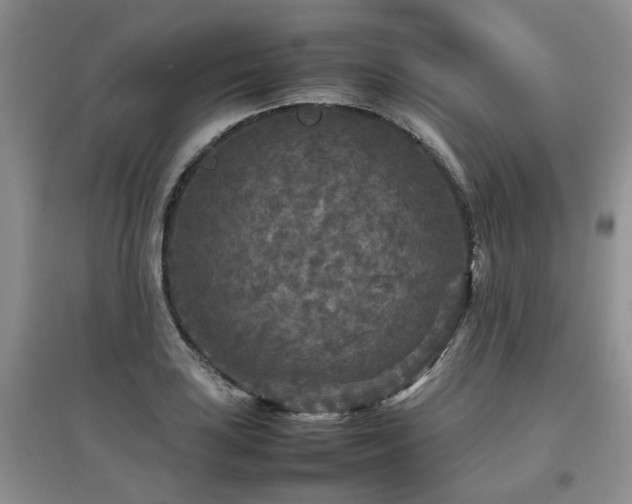 X0000097921035200803141436