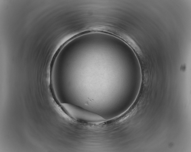 X0000097921036200803141436