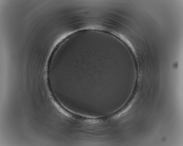 X0000097921037200803141436
