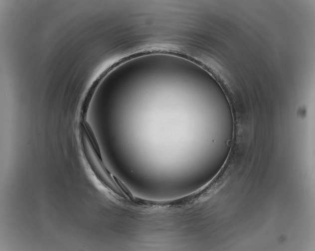 X0000097921038200803141436