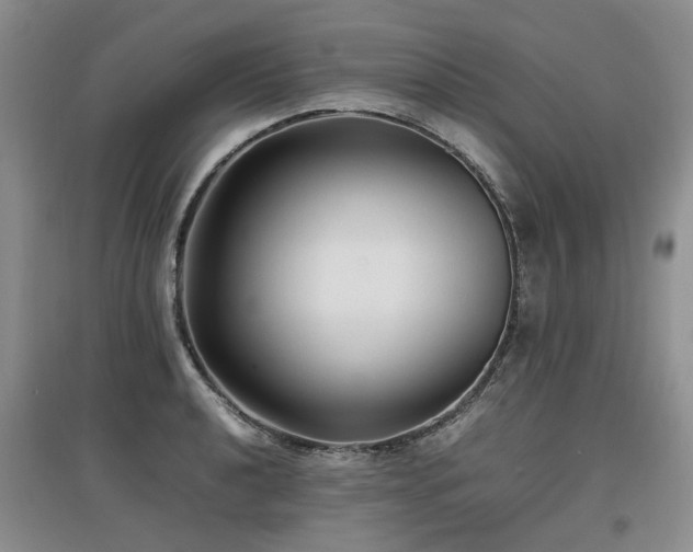 X0000097921040200803141436