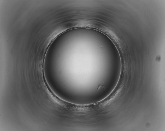 X0000097921041200803141436
