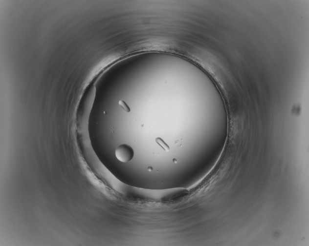 X0000097921042200803141436